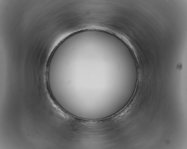 X0000090901048200707301007