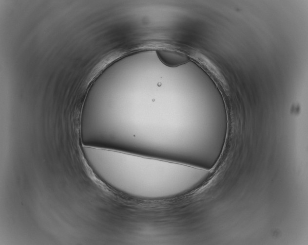 X0000090901049200707301007