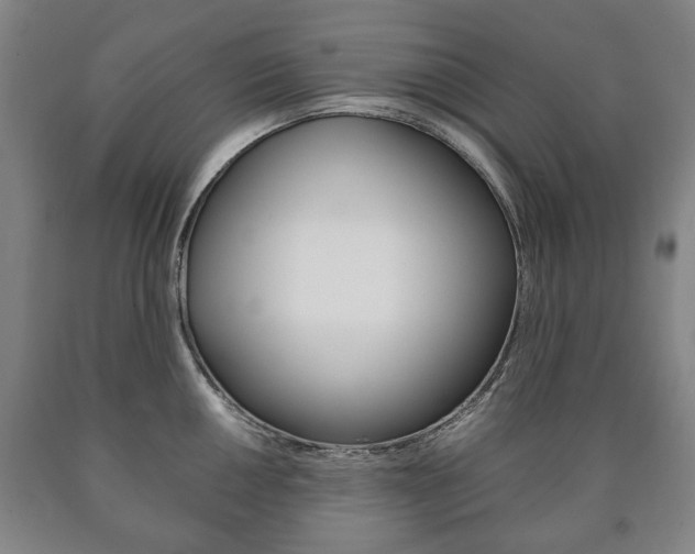 X0000090901050200707301007