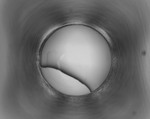 X0000090901051200707301007