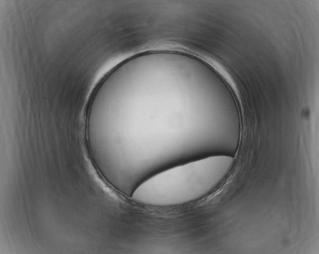 X0000090901053200707301007