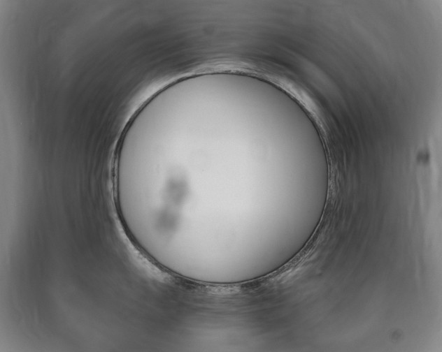 X0000090901055200707301007