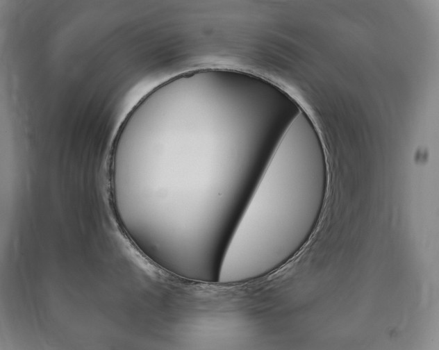 X0000090901056200707301007