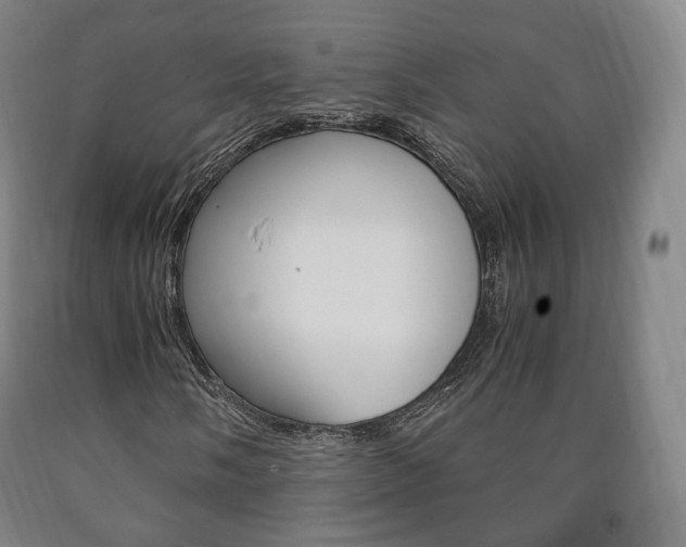 X0000090901058200707301007