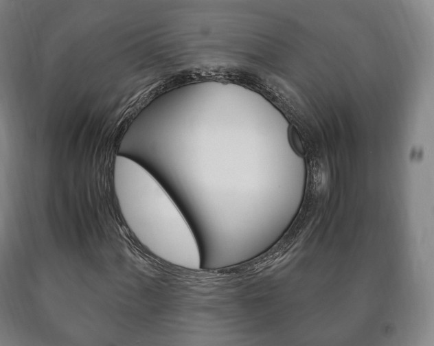 X0000090901060200707301006