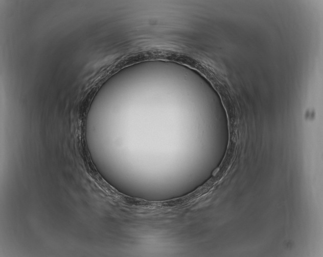 X0000090901061200707301006
