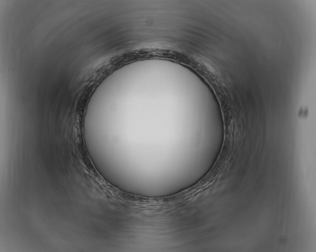 X0000090901062200707301006