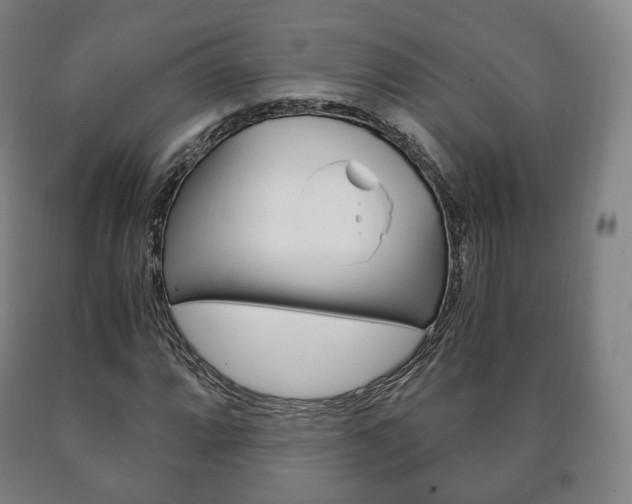 X0000090901064200707301006