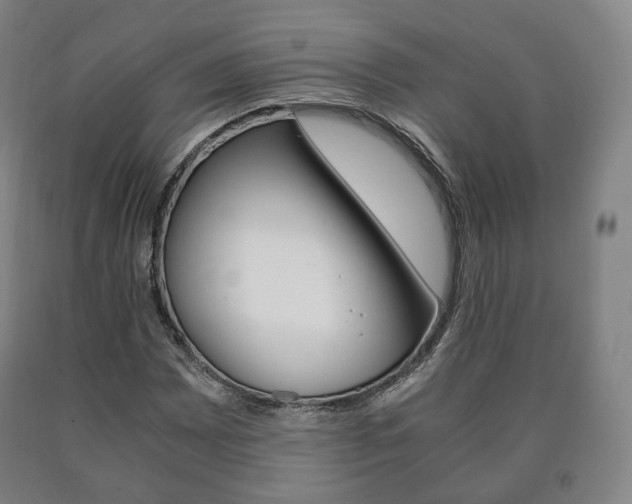 X0000090901065200707301006