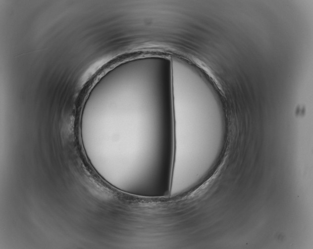 X0000090901066200707301006