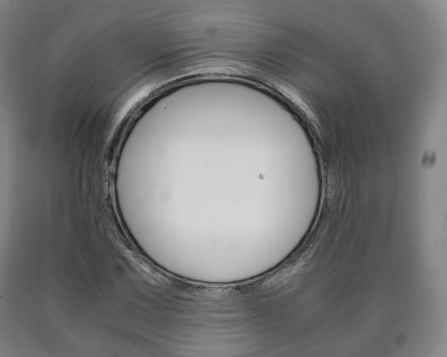 X0000090901067200707301006