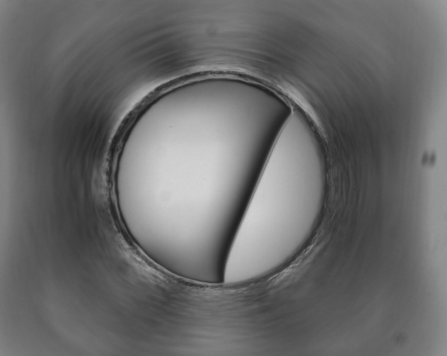 X0000090901068200707301006