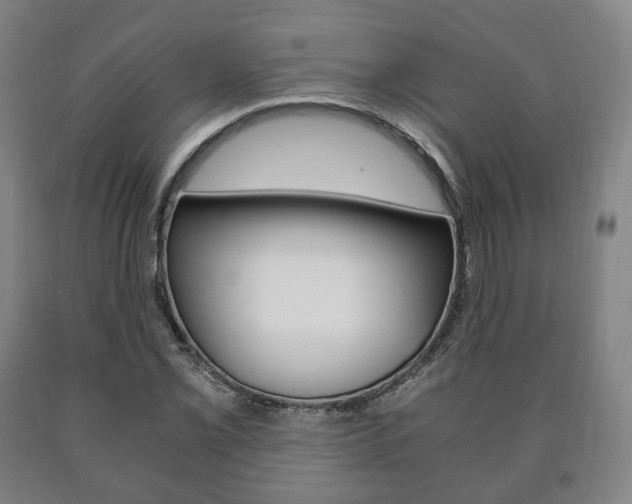 X0000090901069200707301006