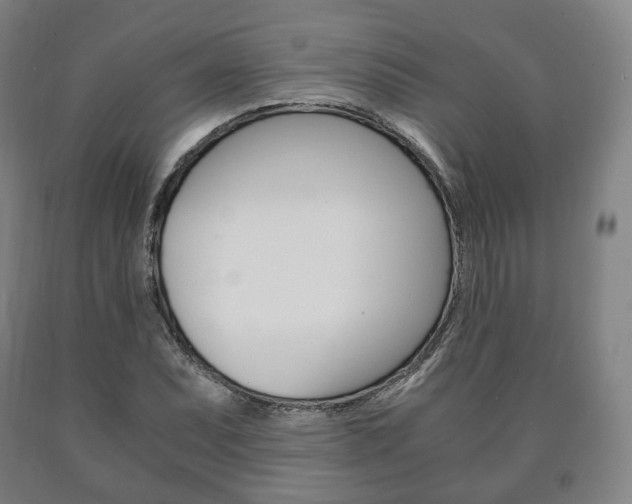 X0000090901071200707301006