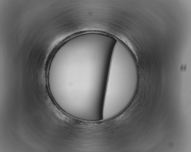 X0000090901072200707301006