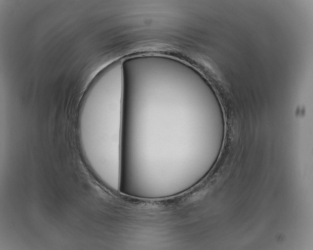 X0000090901073200707301006