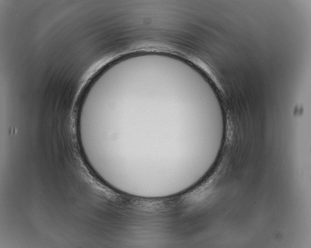 X0000090901074200707301006