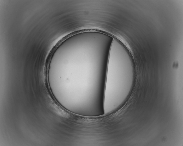 X0000090901076200707301006