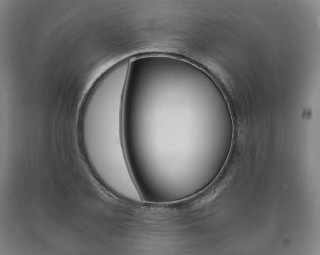 X0000090901077200707301006