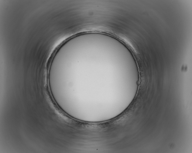 X0000090901079200707301006