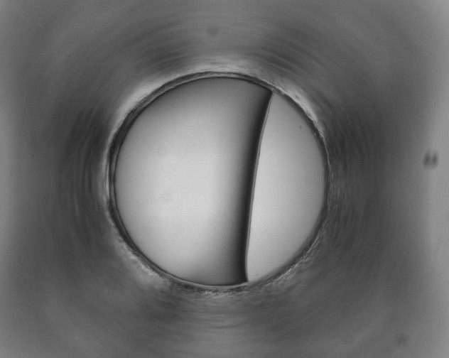 X0000090901080200707301006