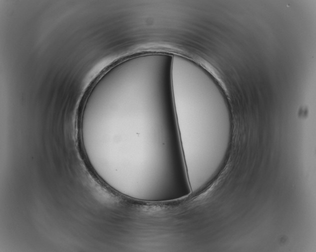 X0000090901082200707301006