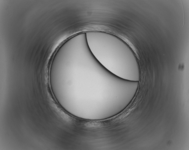 X0000090901083200707301006