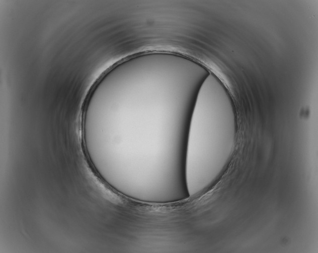 X0000090901084200707301006