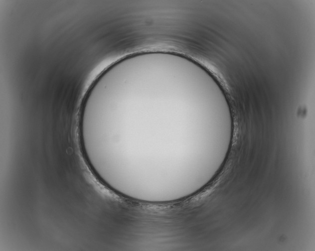 X0000090901086200707301006