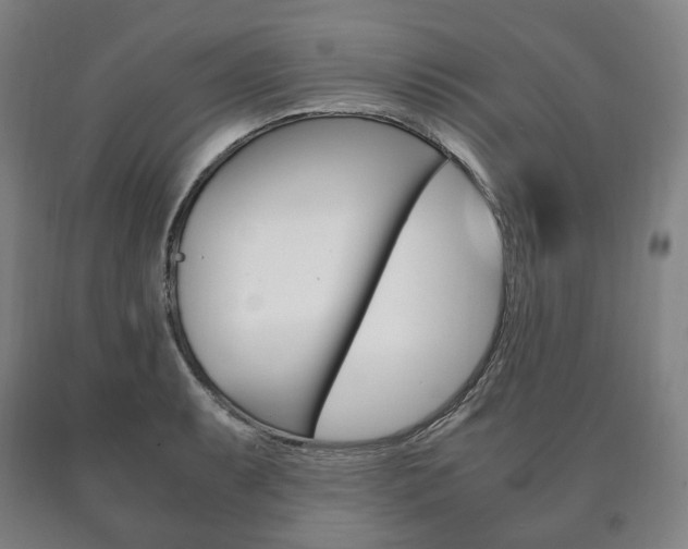 X0000090901087200707301006