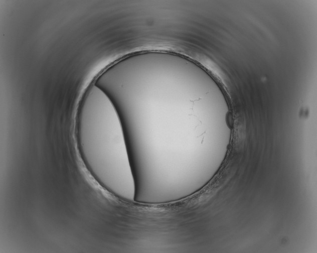 X0000090901088200707301006