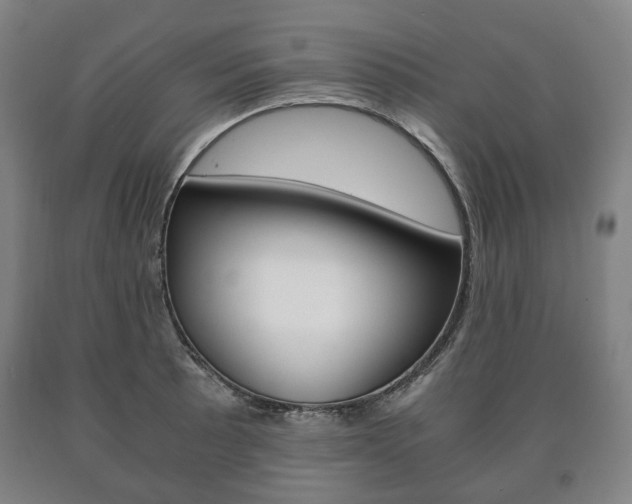 X0000090901089200707301006