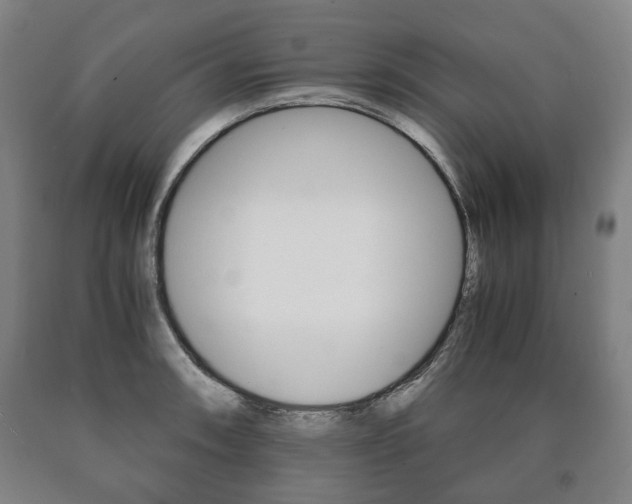 X0000090901090200707301006