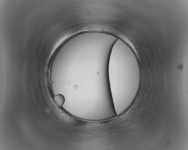 X0000090901091200707301006