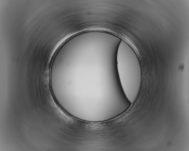 X0000090901092200707301006