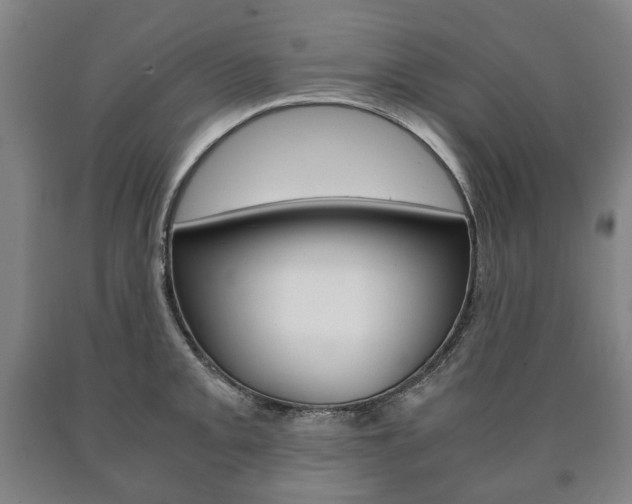 X0000090901093200707301006