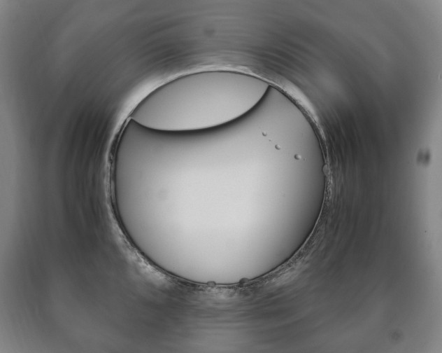 X0000090901096200707301006