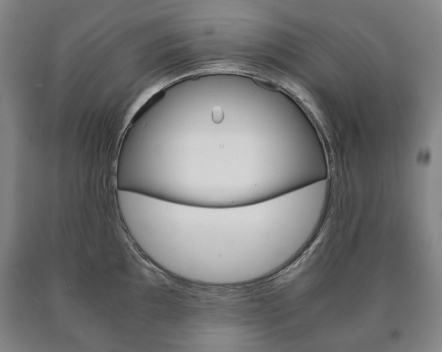 X0000090901097200707301006