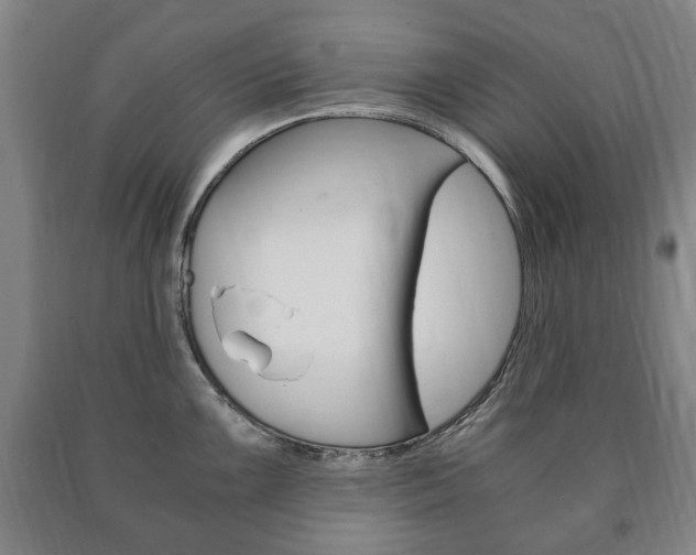 X0000090901099200707301006