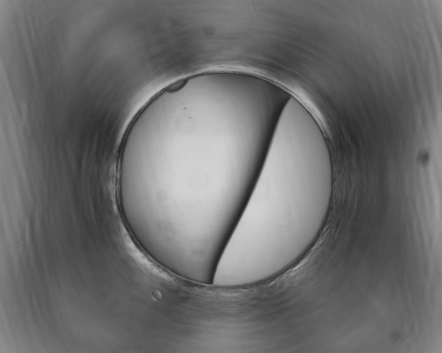 X0000090901100200707301006