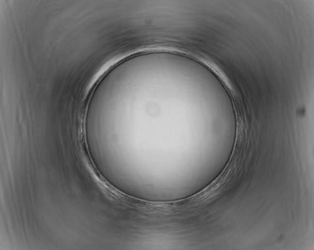 X0000090901101200707301006