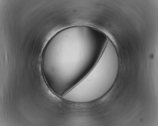 X0000090901102200707301006