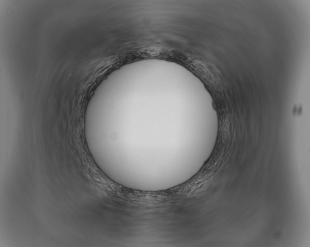 X0000090901105200707301005