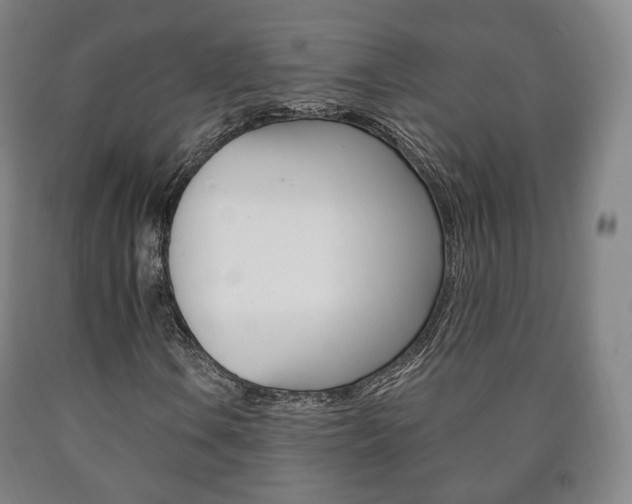 X0000090901106200707301005
