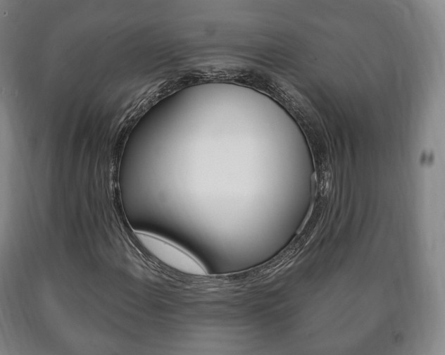X0000090901108200707301005