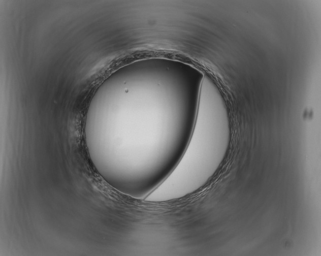 X0000090901110200707301005