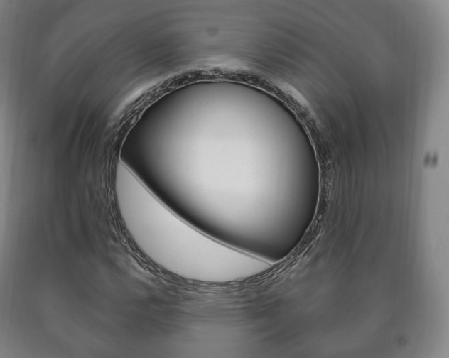 X0000090901112200707301005