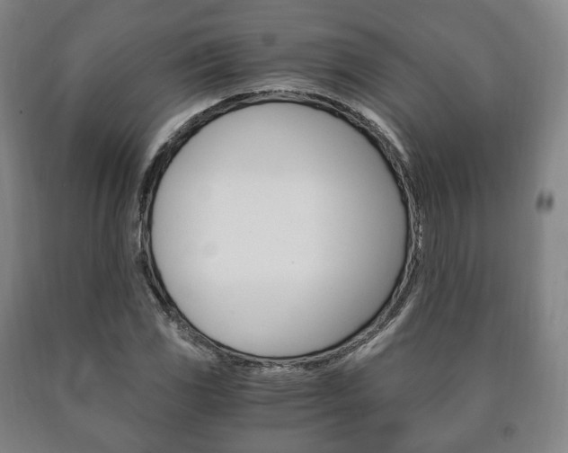 X0000090901117200707301005