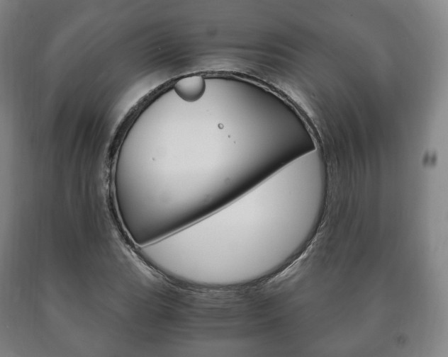 X0000090901119200707301006