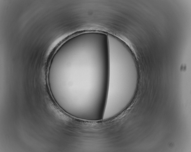 X0000090901120200707301006